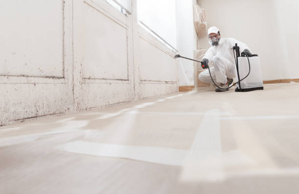 24/7 Emergency Mold Remediation experts in Sunnyside, WA