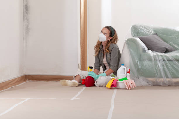Reliable Mold Remediation contractor in Sunnyside, WA by 24 Hour Mold Removal